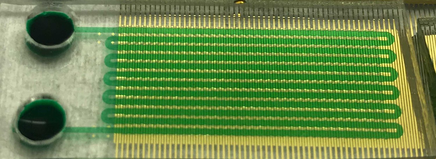 Close view of an AESOP chip showing the serpentine microfluidic channel running between the inlet and outlet ports